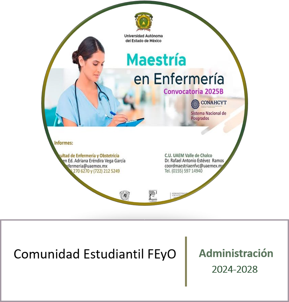 Maestria